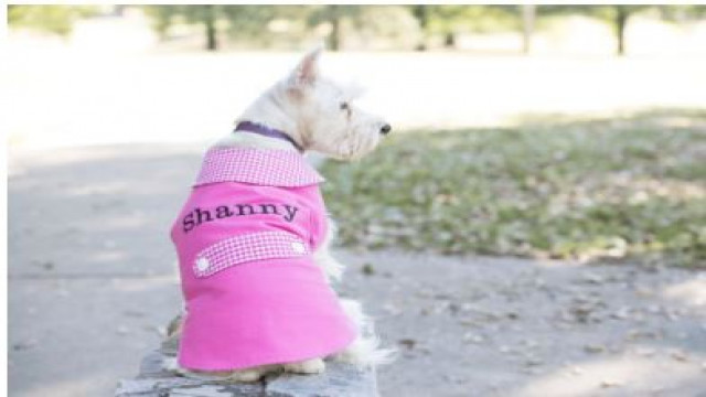 Embroidered Dog Jacket.JPG