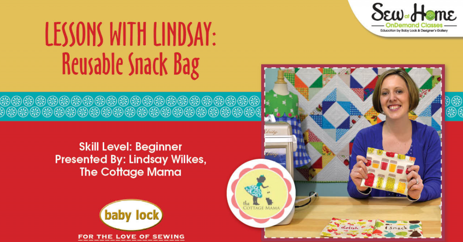 Lessons_With_Lindsay_Reusable_Snack_Bag_Video_Class.png