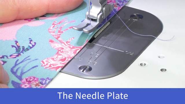 Accomplish_The-Needle-Plate.jpg