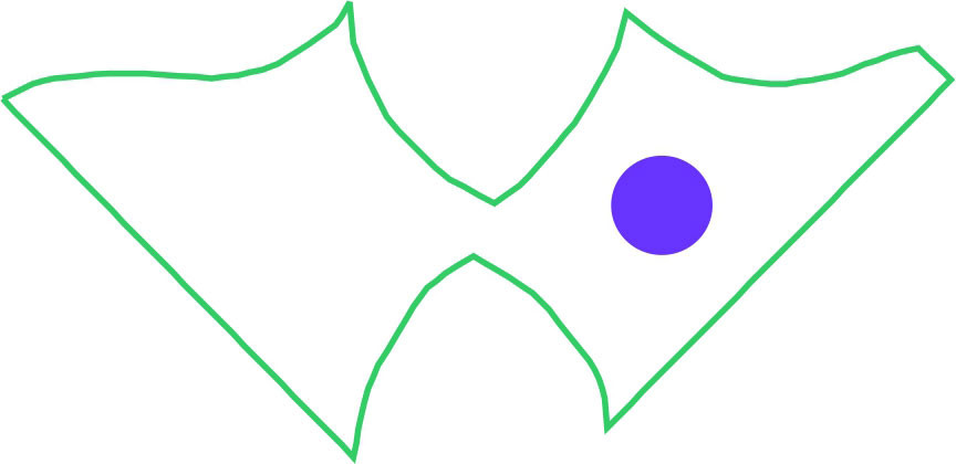 15452573431196.jpg