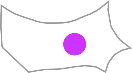 15452573431577.jpg