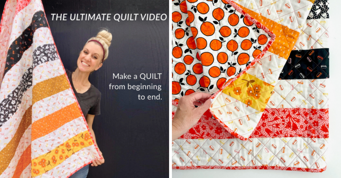 The_Ultimate_Quilt_Video_Dana_Made_Everyday_Image.png